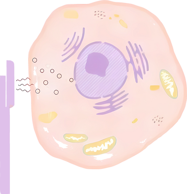 Microstroom therapie
